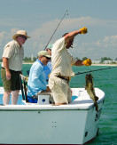 Got Fish?