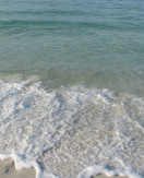 Listening to the Sounds in Destin