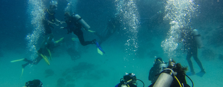 Emerald Coast and the Sea Oats Motel: A Diver’s Wonderland