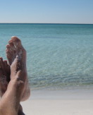 Beach Bum Dreams